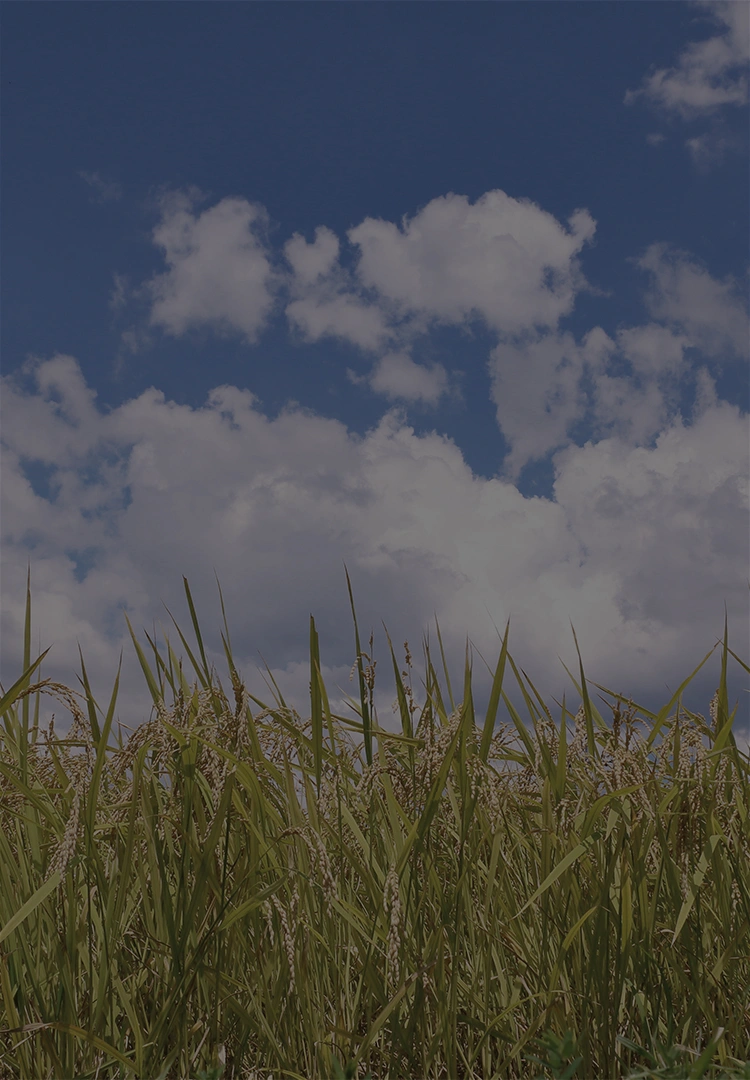 農業のイメージ