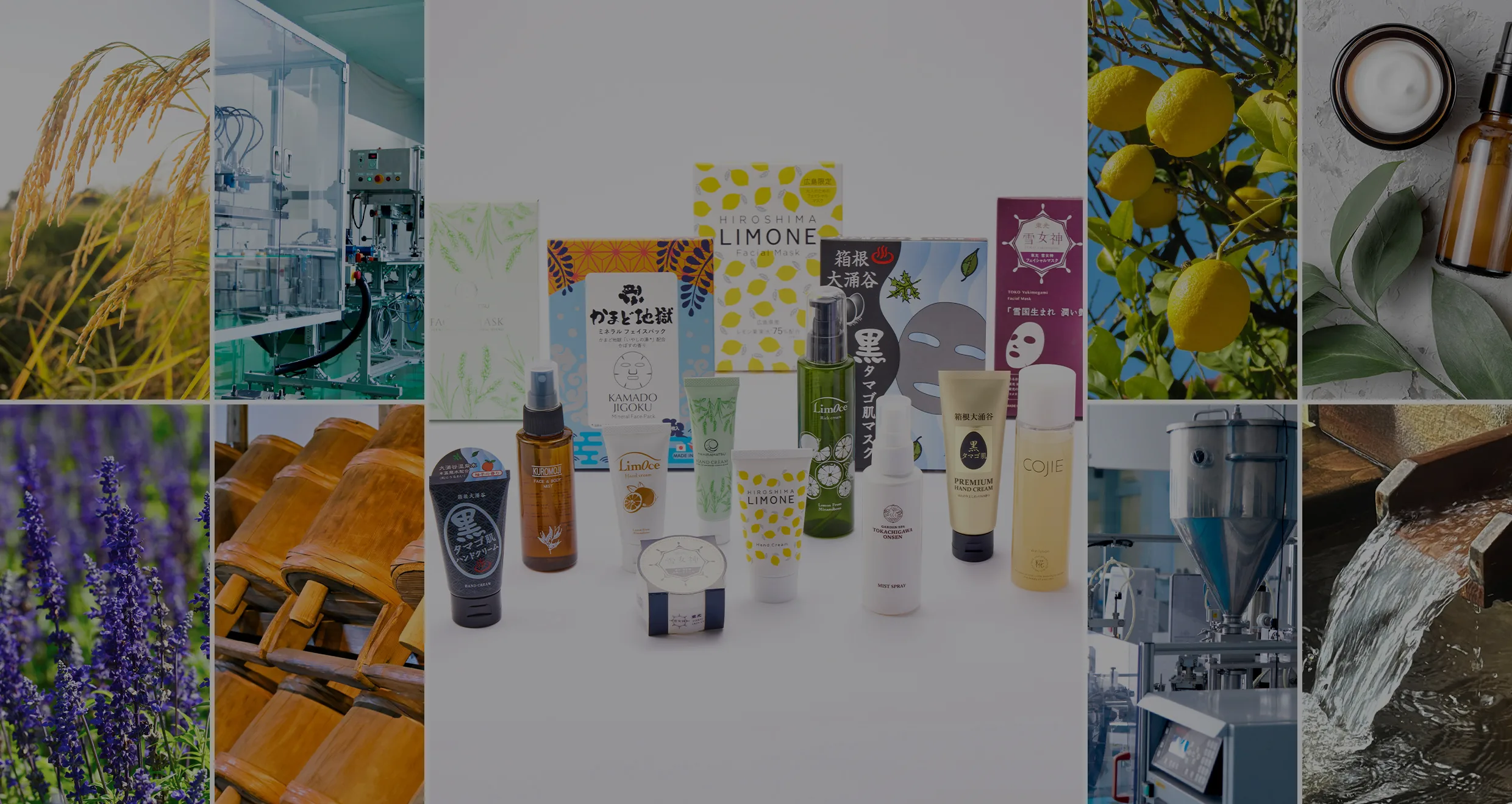 cotononeのメインビジュアル