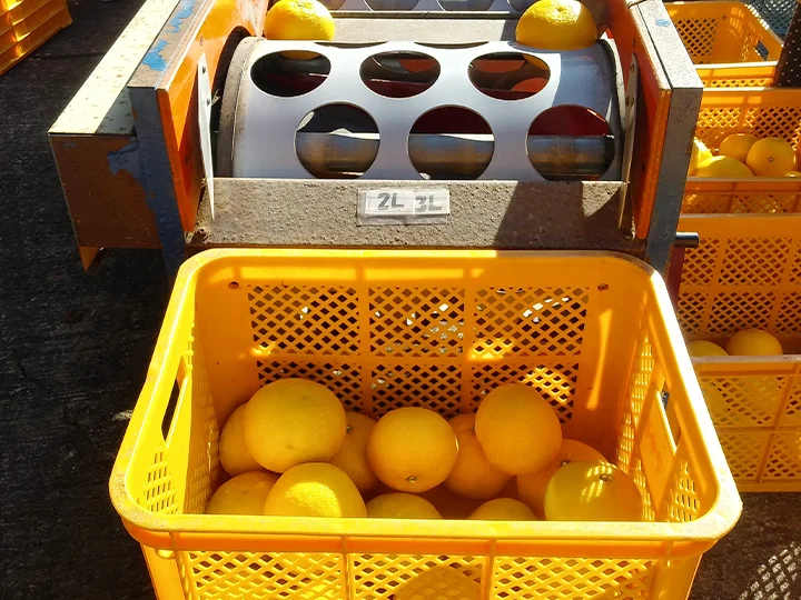 規格品のイメージ